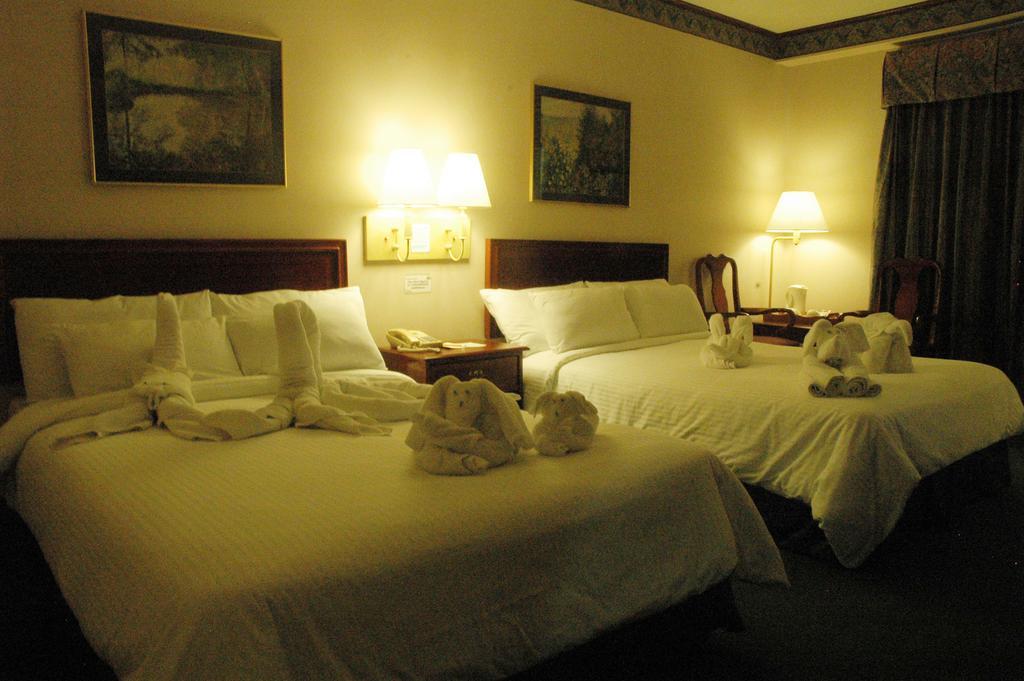 Tagaytay Country Hotel Тагайтай Номер фото